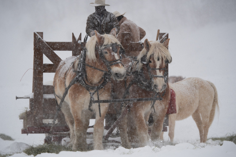 Colorado-2019-5481