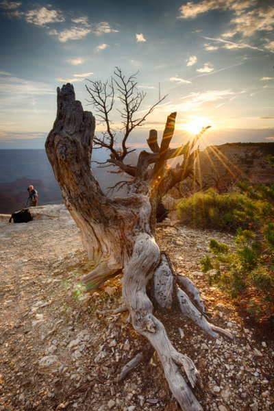 GrandCanyon2015-2083