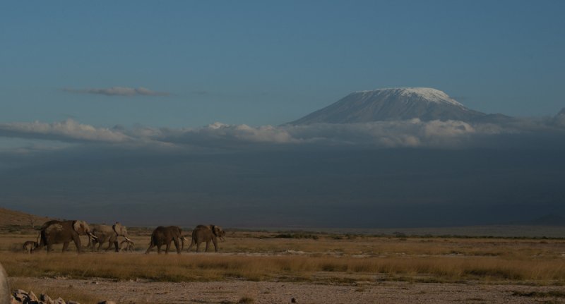 Amboseli-2018-717