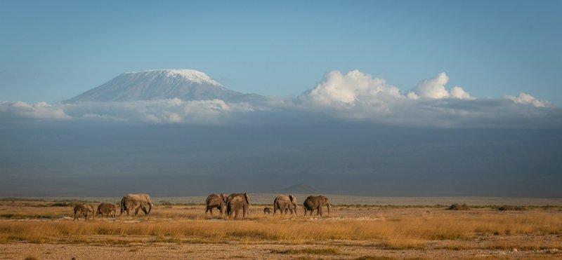 Amboseli-2018-805