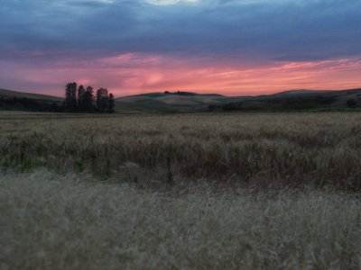 Palouse-2015-30