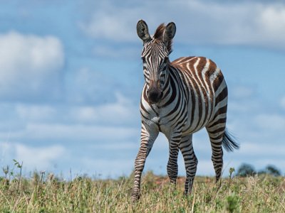 Kenya-2014-132-Edit